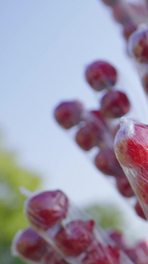 实拍路边冰糖葫芦架子上冰糖葫芦视频素材美食小吃11秒视频