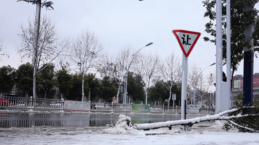 大雪压倒的树木交通车辆积雪视频