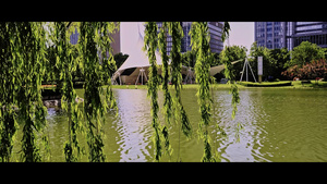 上海陆家嘴中央公园17秒视频