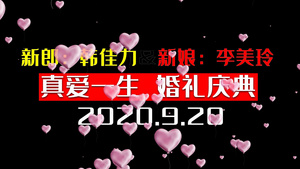 婚礼快闪节奏宣传展示62秒视频