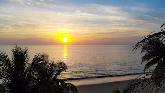 航拍海边椰树夕阳日落[木麻黄]视频
