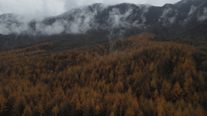 航拍光雾山景色59秒视频