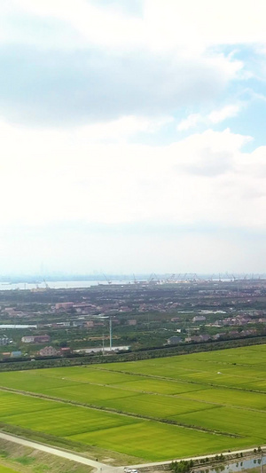 上海长兴岛海边风车航拍绿色能源21秒视频