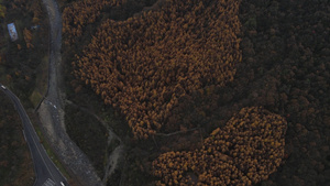 空中拍摄四川光雾山62秒视频