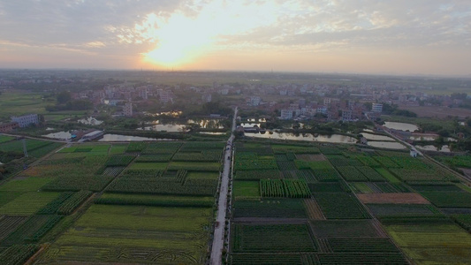 夕阳下的农村 大片种植用地4K航拍视频