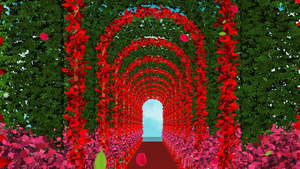 红玫瑰浪漫心型唯美婚礼背景30秒视频