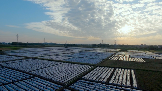 夕阳下大片现代农业种植4K航拍视频