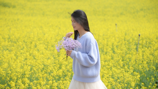 4K油菜花海里的少女视频