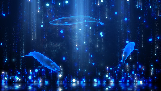 蓝色鲸鱼海洋海底全息舞台背景视频