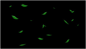 叶子飘落10秒视频