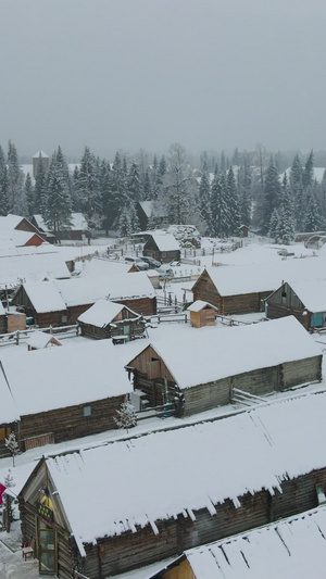 西北喀纳斯雪乡下雪村庄25秒视频