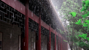 夏至下雨天暴雨水帘25秒视频