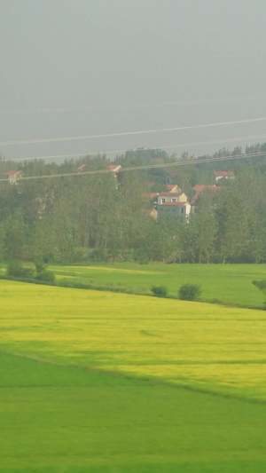 高铁列车窗外江汉平原农田自然风景素材 40秒视频