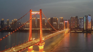 武汉鹦鹉洲长江大桥航拍4K视频30秒视频