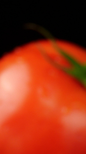 西红柿微距番茄水果天然绿色有机蔬菜新鲜蔬菜17秒视频