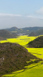 航拍罗平喀斯特地貌中的油菜花田视频云南罗平国际油菜花旅游文化节视频