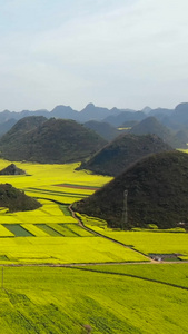 航拍罗平喀斯特地貌中的油菜花田视频旅游目的地视频