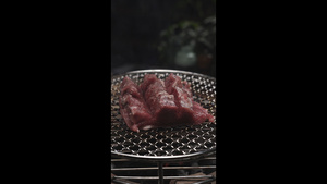烤肉素材0638秒视频