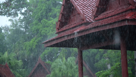 下雨天4K视频