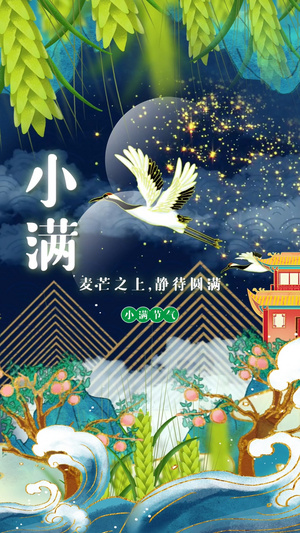 国潮鎏金中国风传统节气小满竖版视频海报15秒视频