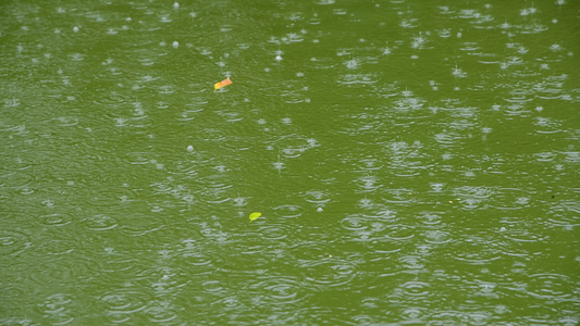 下雨天的水面4K[大雨天]视频