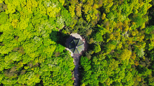 4K航拍南京市5A风景区中山陵灵谷寺景区54秒视频