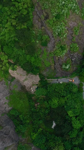 高清航拍森林俯视视频大自然视频