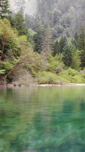 九寨沟五花海水面旅游景区6秒视频