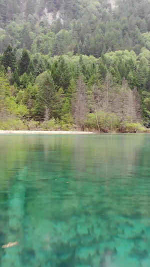 九寨沟五花海水面旅游景区6秒视频