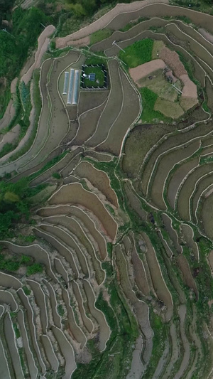 高清航拍湖南紫鹊界国家自然与文化双遗产4A景区月牙山观景台35秒视频