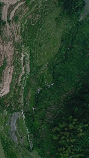 高清航拍湖南紫鹊界国家自然与文化双遗产4A景区月牙山观景台35秒视频