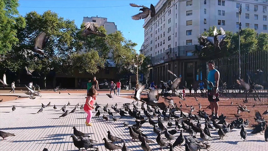 外国街头孩子嬉戏广场鸽慢镜头视频