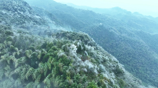 蔡伦竹海旅游风景区视频