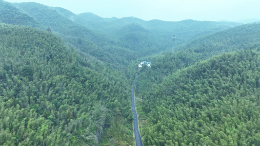 蔡伦竹海旅游风景区视频