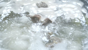 4K海带排骨汤炖汤养生汤17秒视频