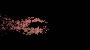 粉红色粒子花瓣素材33秒视频