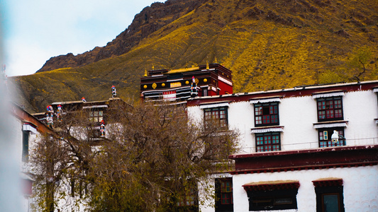 4k西藏5A景区日喀则扎什伦布寺4K视频