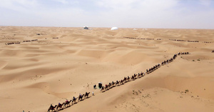 4k航拍宁夏中卫腾格里沙漠骆驼队8秒视频