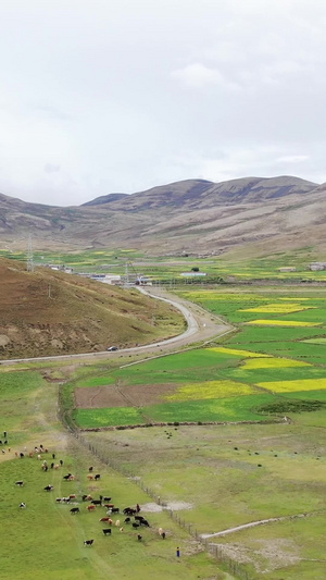 航拍西藏高原自然风光48秒视频