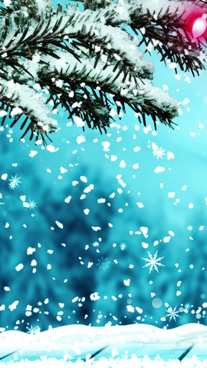 唯美的圣诞雪松背景素材圣诞节30秒视频