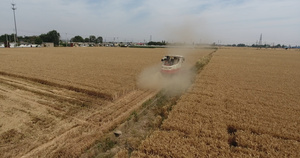 4k航拍机器收麦子实拍104秒视频