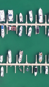 青岛海边的游艇航拍视频海滨风光视频