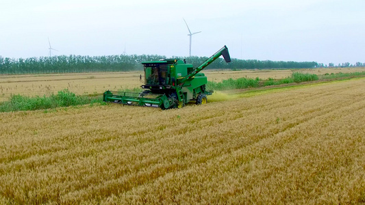 航拍收割机收麦子视频