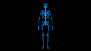 4K透明通道全息人体骨骼素材15秒视频