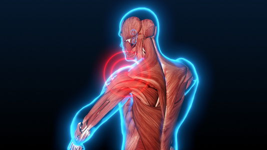 人体结构肩膀疼痛动画医疗视频视频