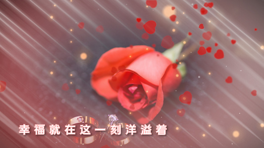 浪漫爱情婚礼Prcc2018视频模板视频