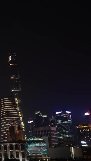 东方明珠夜景黄浦江夜景12秒视频