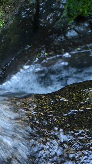 夏日山涧小溪溪流生命之源39秒视频