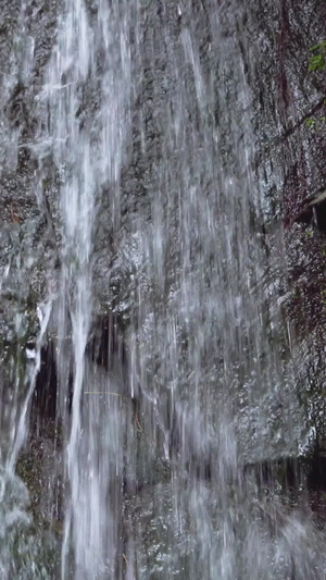 从山上流下来的山泉水实拍清澈的山泉水24秒视频