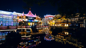 4K实拍上海豫园繁华夜景人流25秒视频